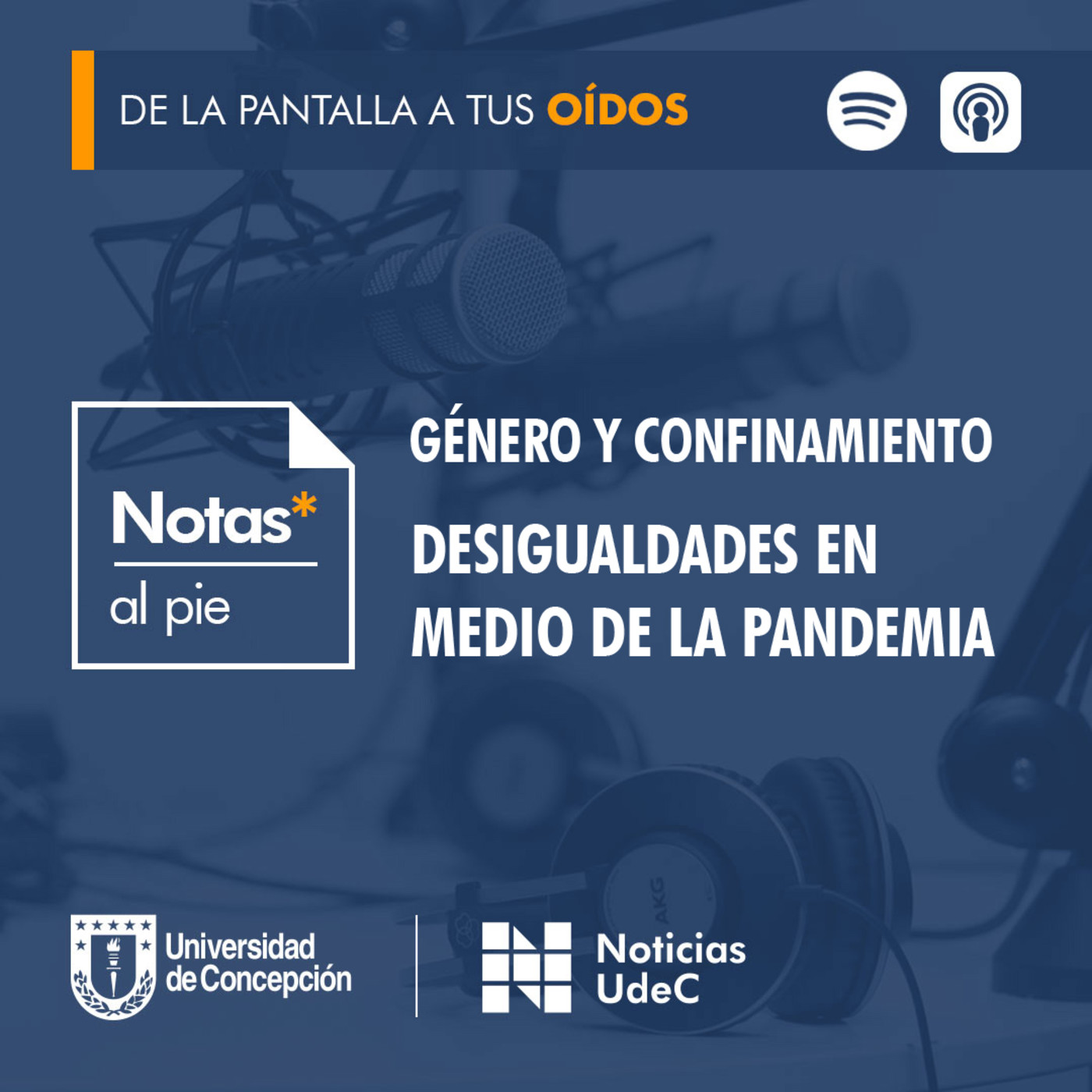Notas al pie
