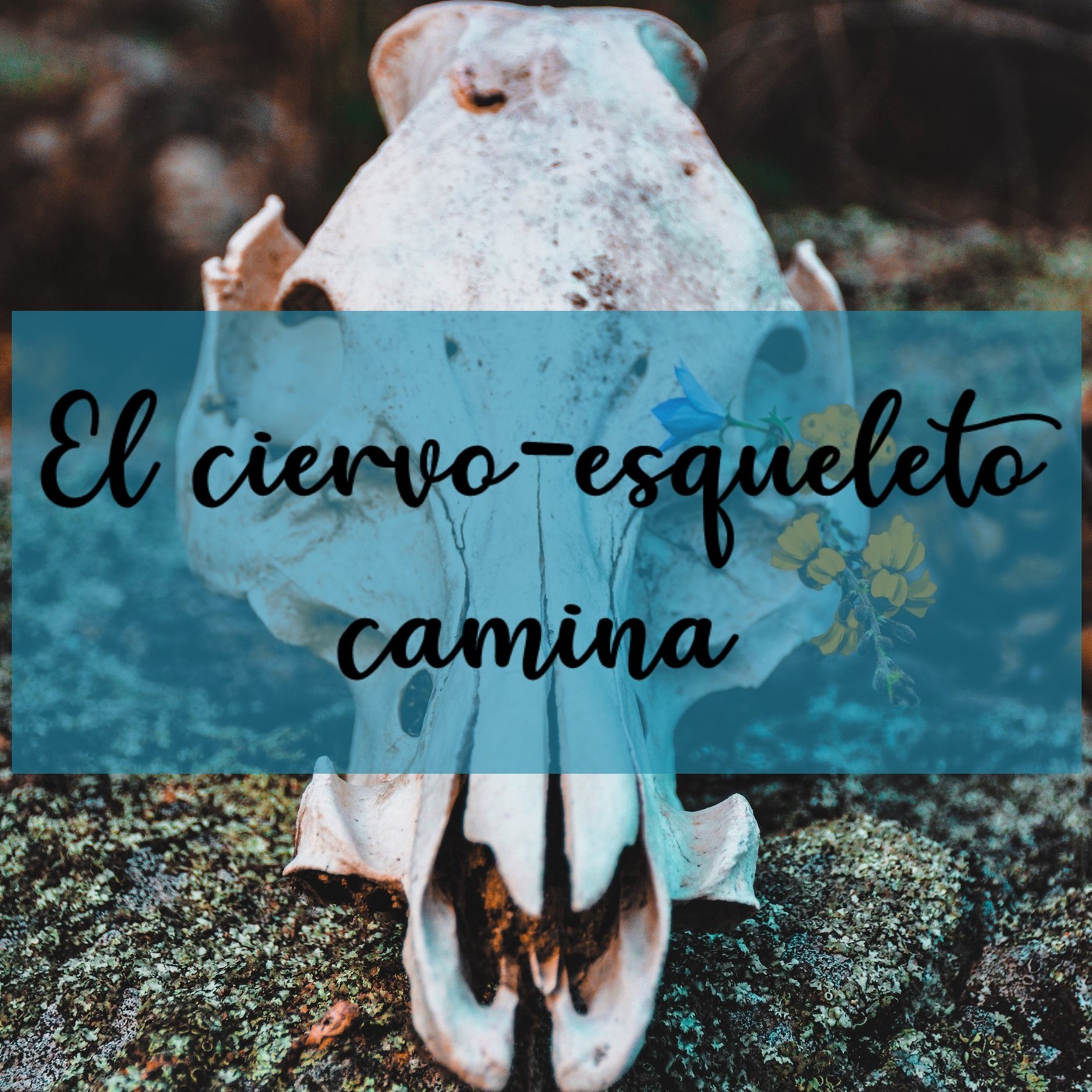 Las Escritoras de Urras