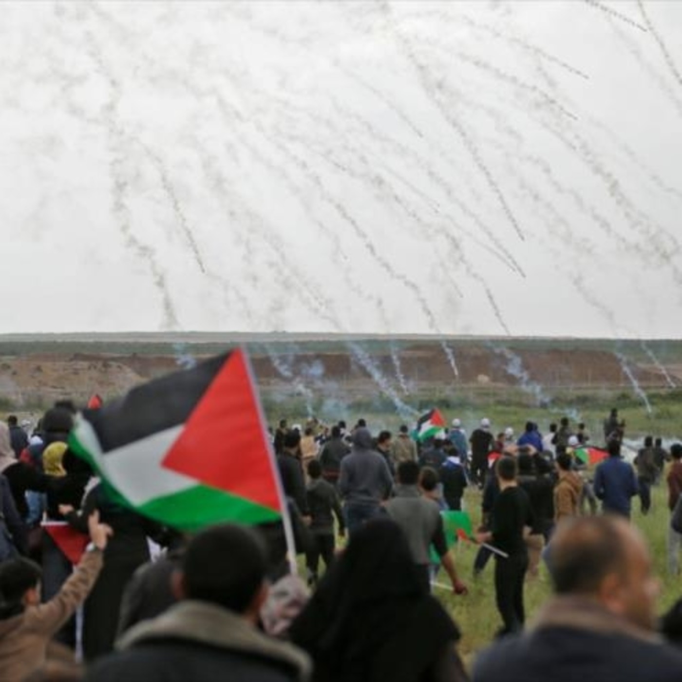 Sionismo israelí ejecuta crímenes de lesa humanidad para acabar con la población de Palestina  episode artwork