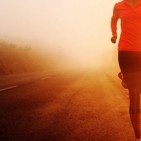 Diario del Atleta 1x 64 El Cerebro, El Músculo Olvidado, Entrenalo y Lograrás Todo lo que te Propongas