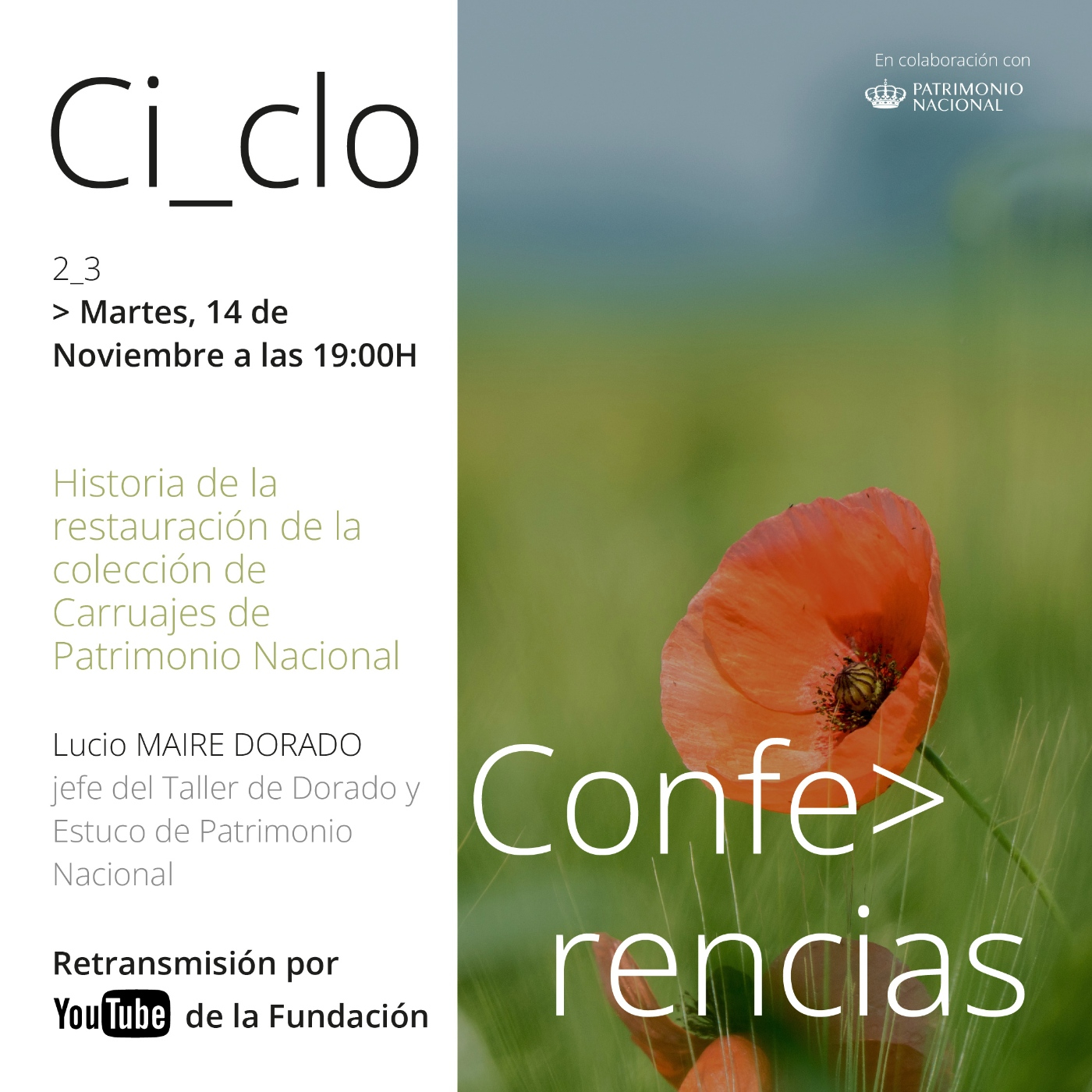 Conferencias
