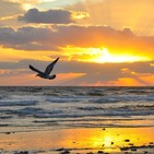 Meditación Raja Yoga: "Libre de Preocupaciones" - Brahma Kumaris - Enrique Simó