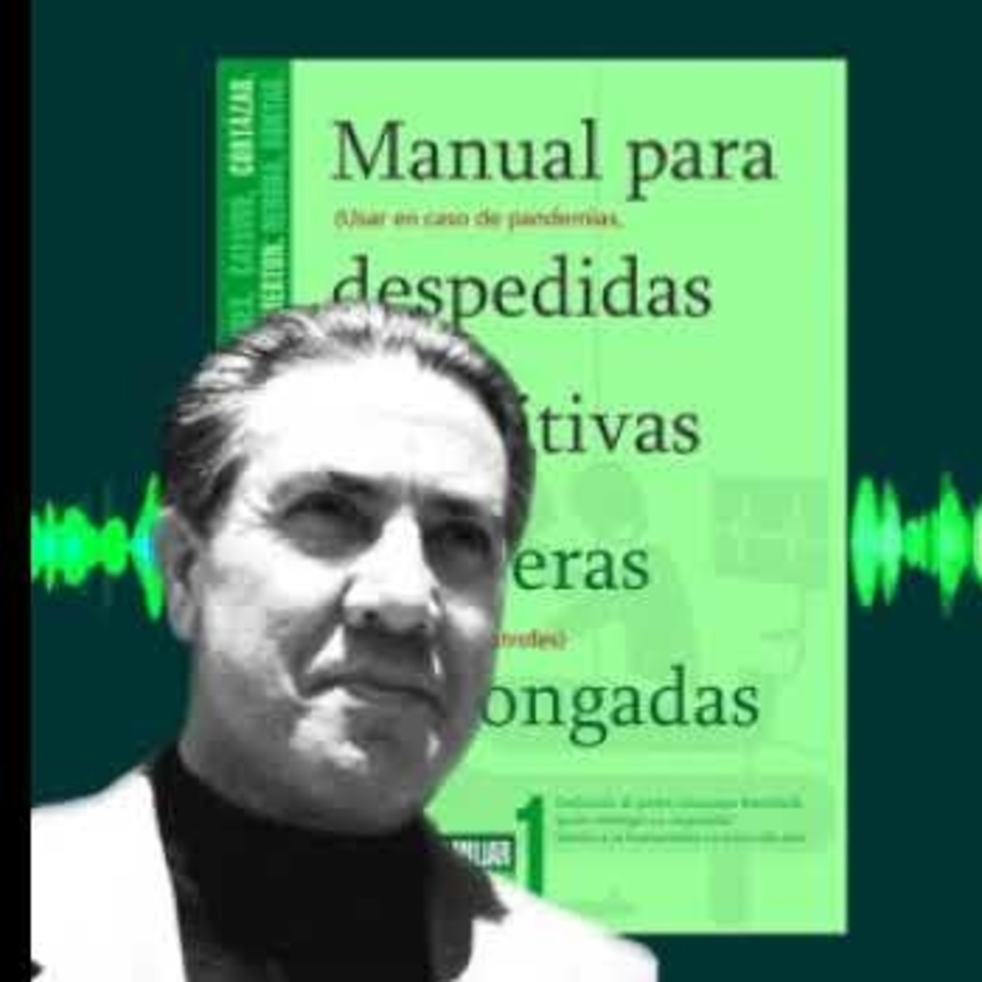 José Luis MartÍn Descalzo, Pájaro solitario 8
