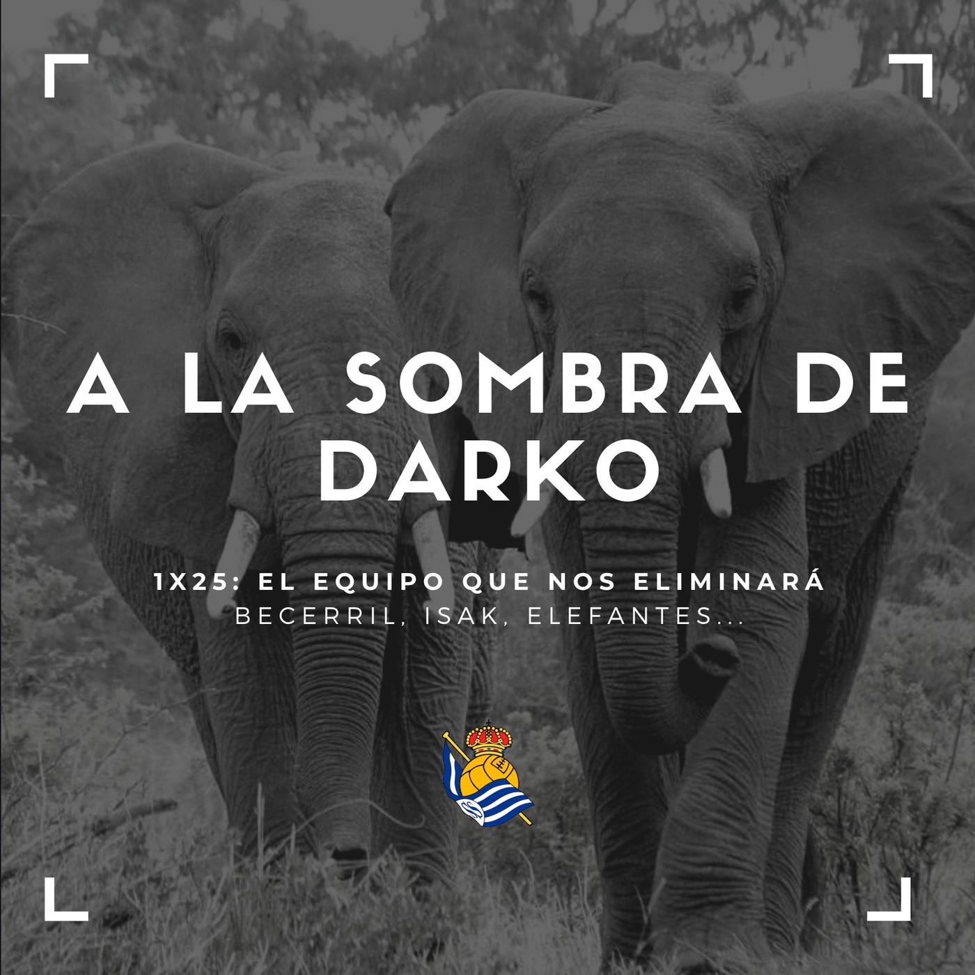 A la Sombra de Darko