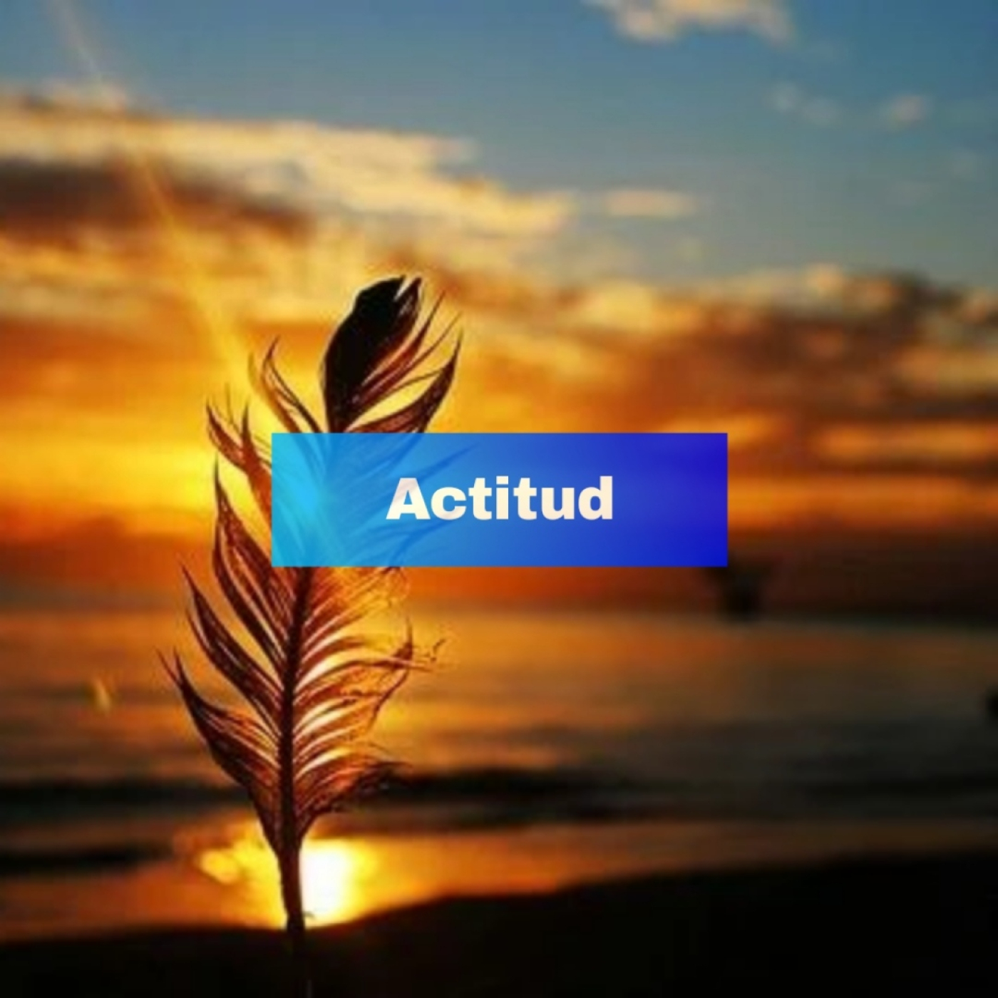 2 |Actitud