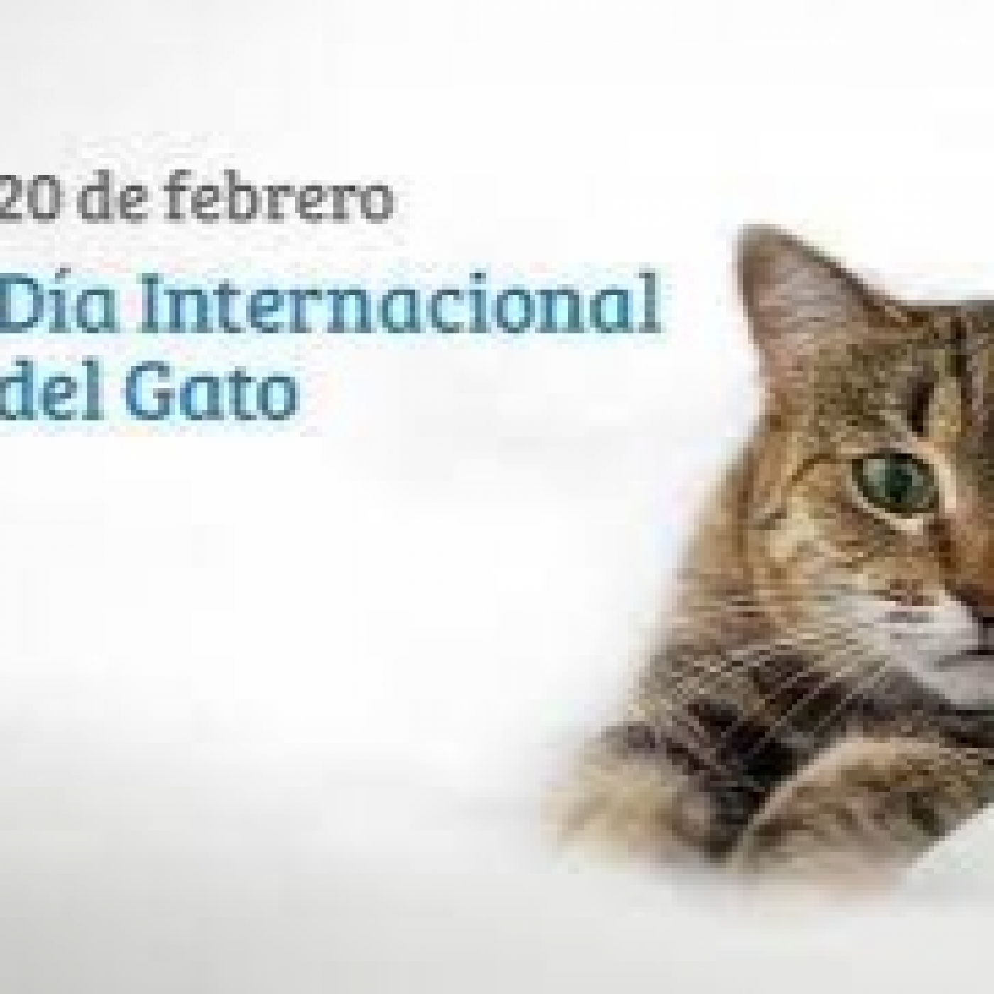 Buenos Días Mundo 20-2-2023 episode artwork