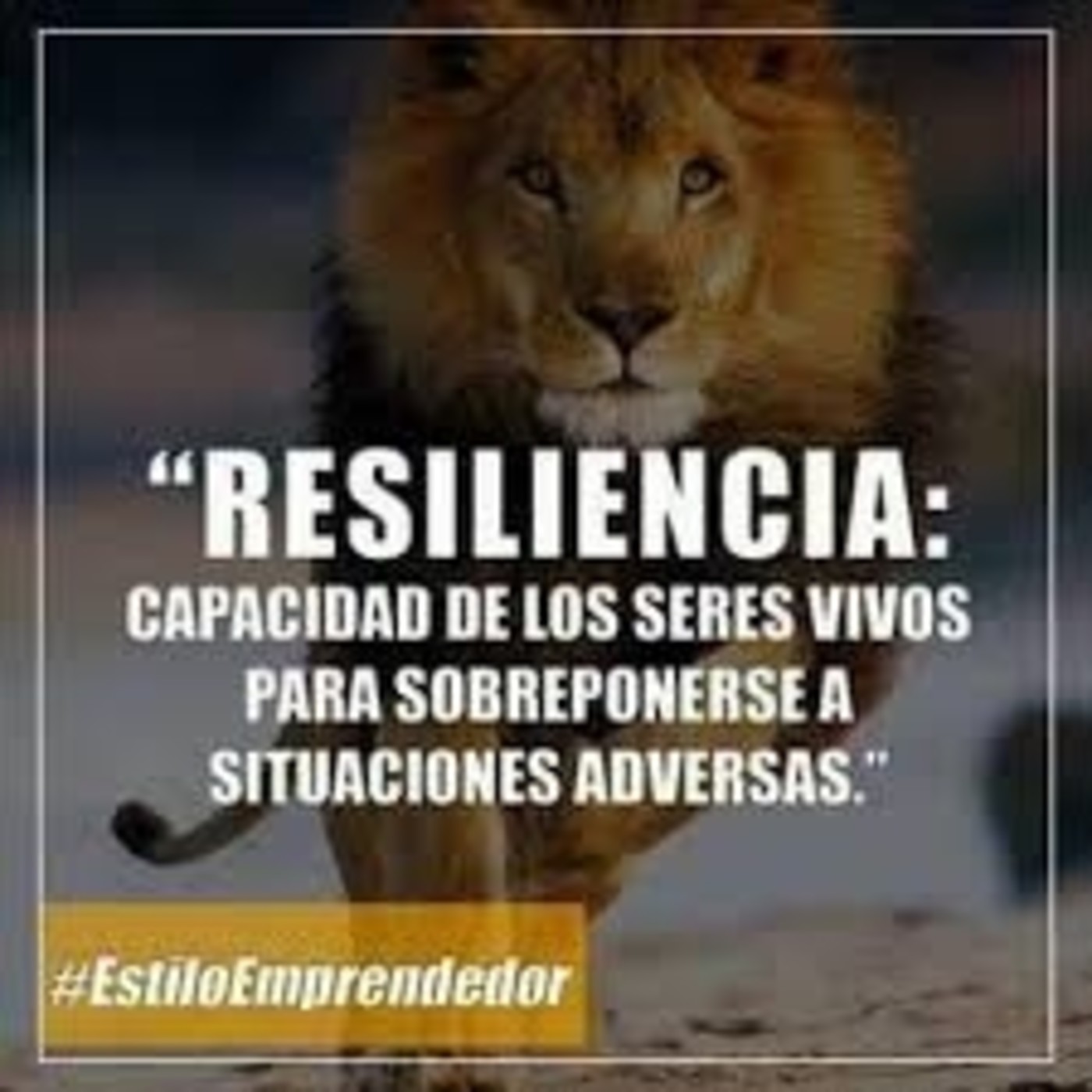 JESUS ROMERO VILLEGAS