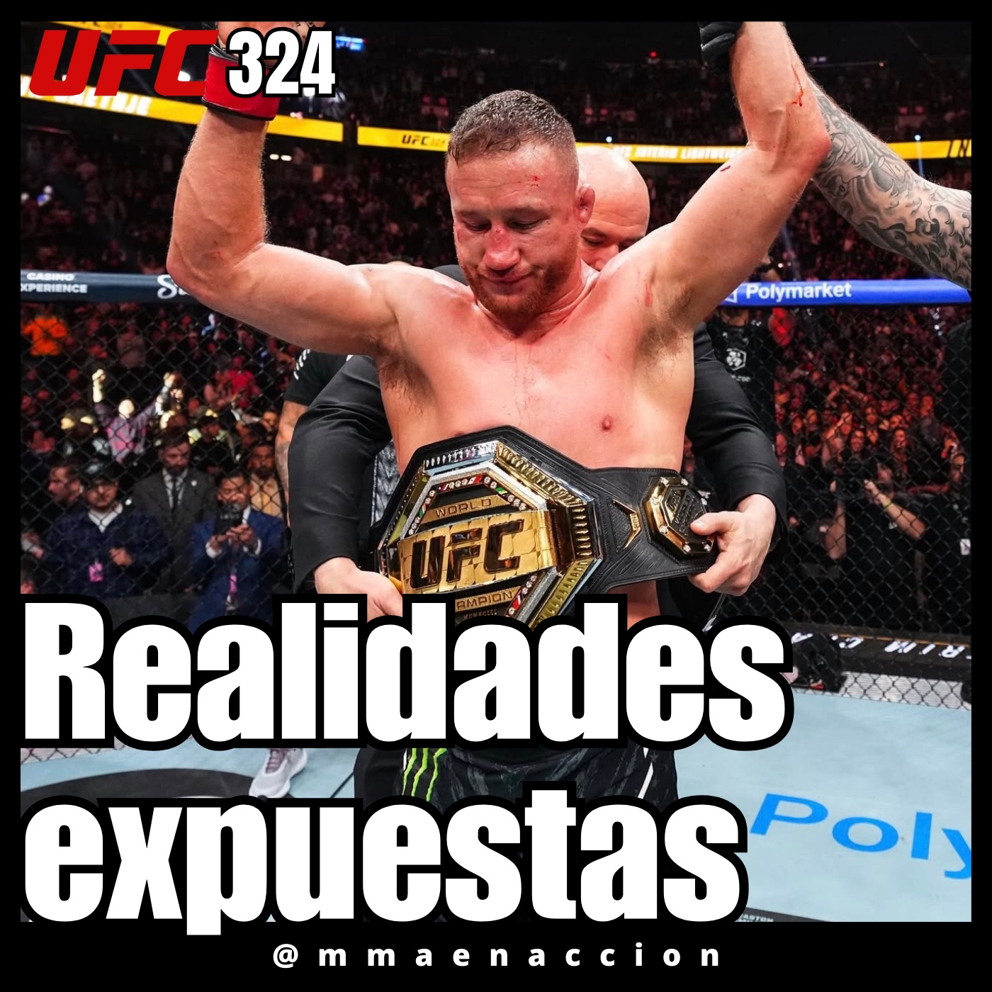 MMA en acción
