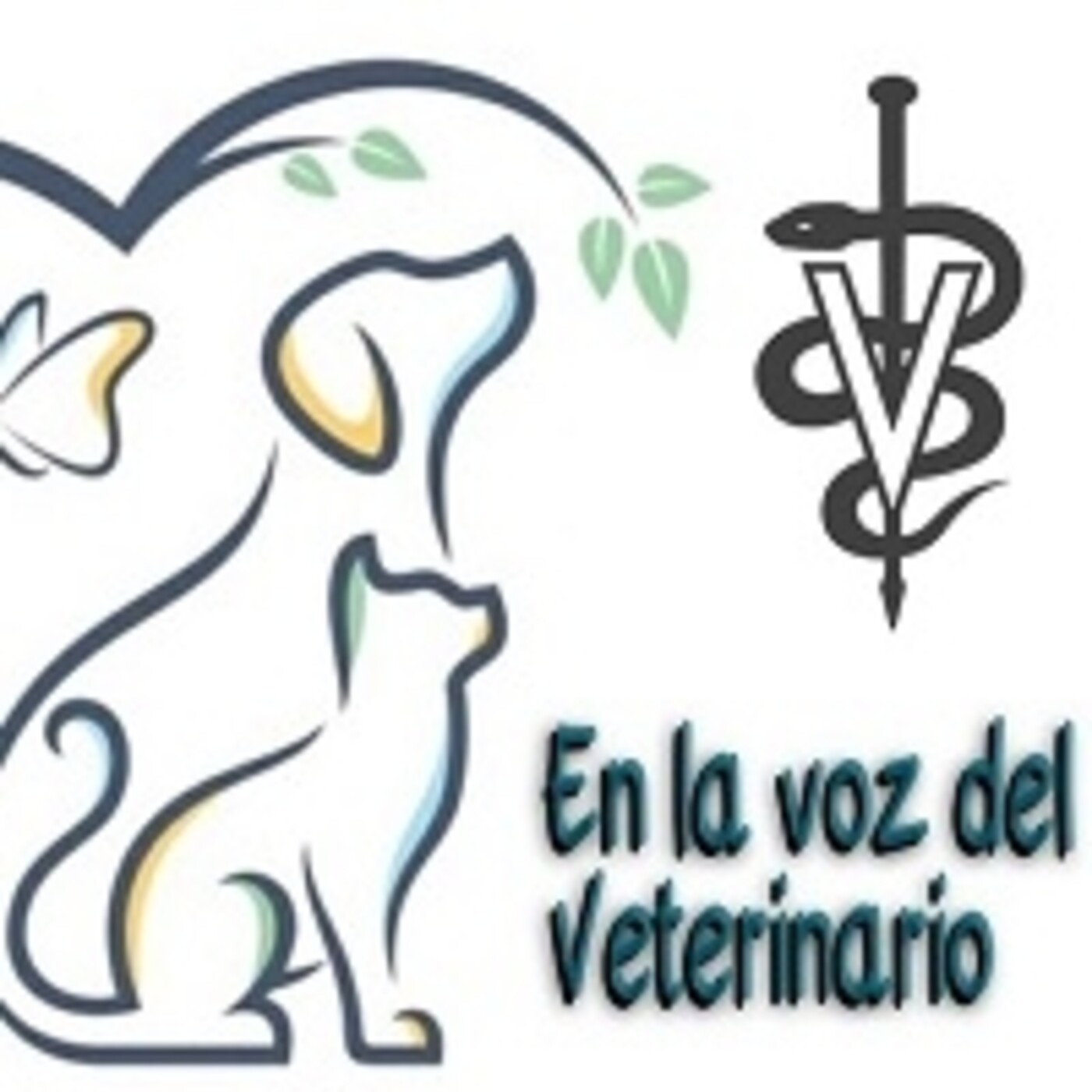En la Voz del Veterinario 010621 p140. episode artwork
