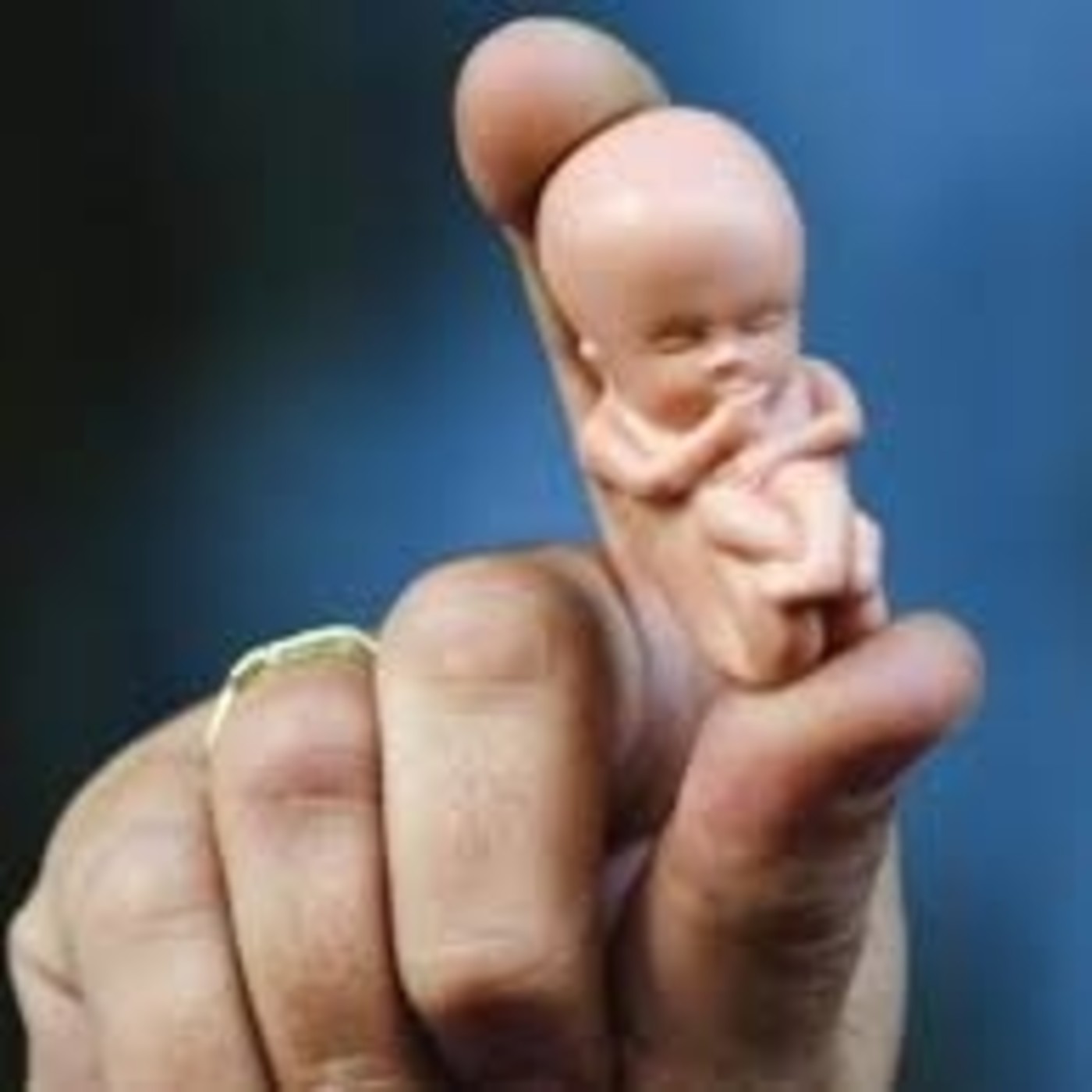 PARA NORMALES DE LA NOCHE