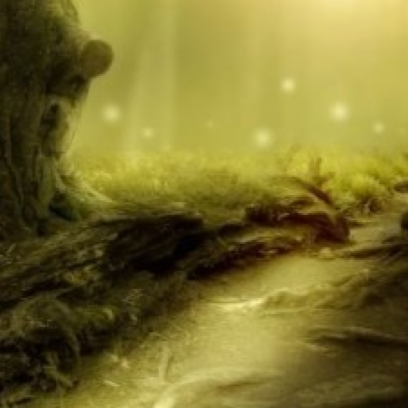 El pensamiento camina