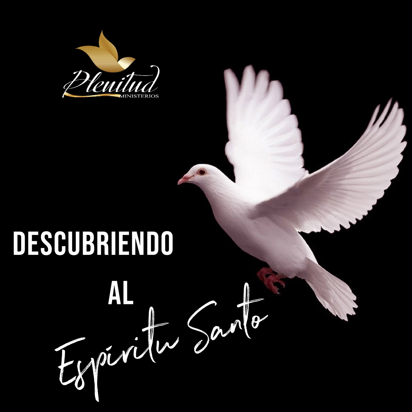 Ministerios Plenitud - Prédicas Dominicales