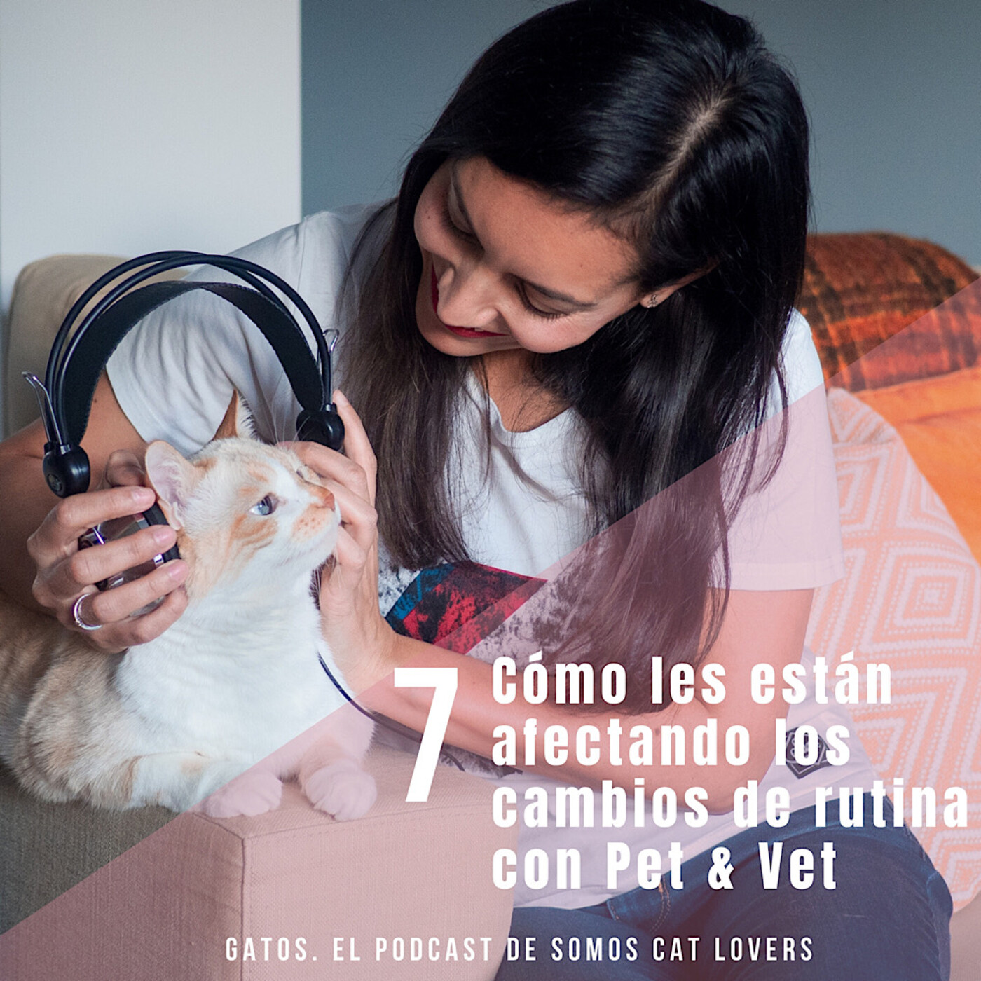 Episodio 7. Cómo les están afectando los cambios de rutina a los gatos con Pet & Vet