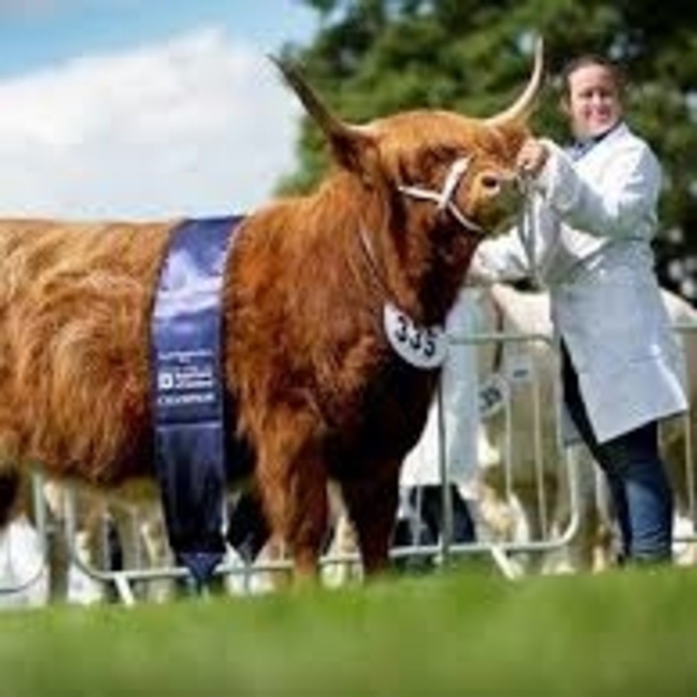 ESCOCIA MÁGICA
