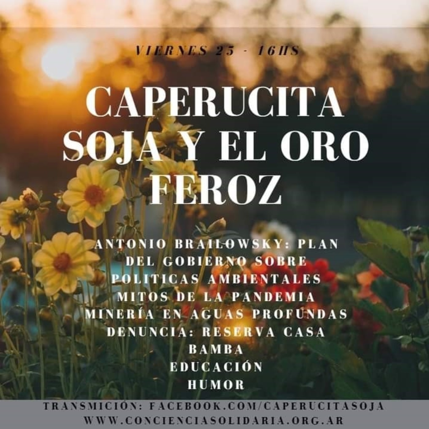 Caperucita Soja y el Oro Feroz