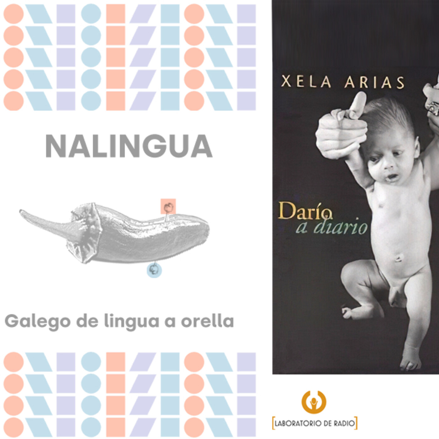 NALINGUA, lecturas dun neofalante