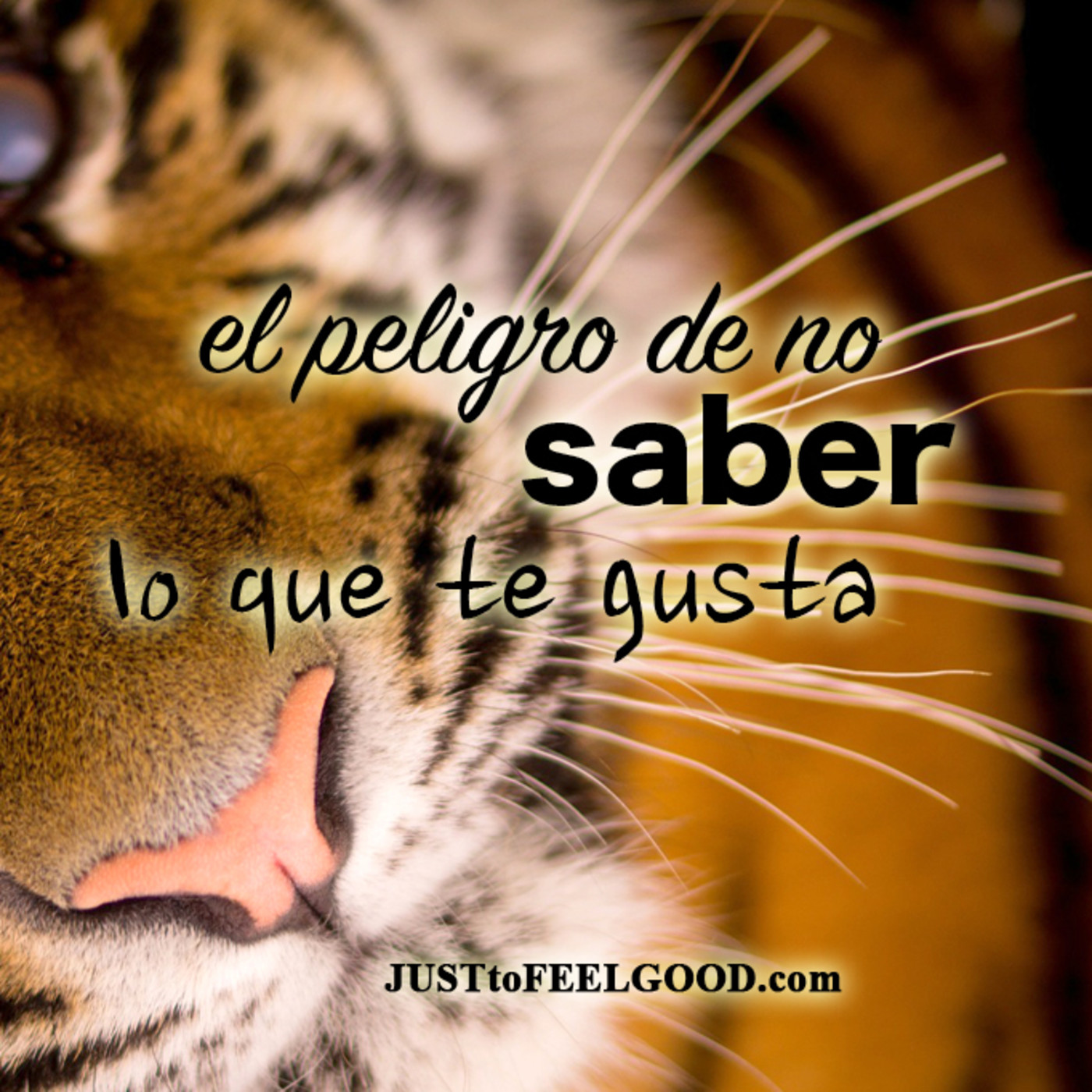 FEEL GOOD, by Estany Loriente