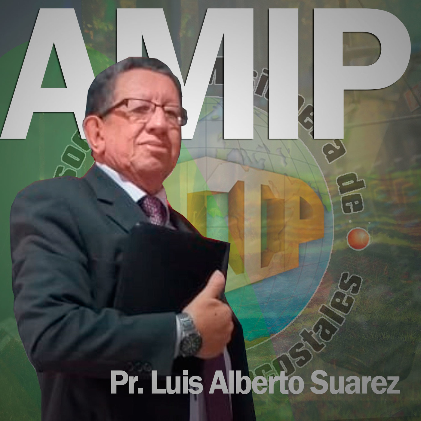 AMIP Institucional