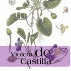 El Ángel de tu Salud - VIOLETA DE CASTILLA