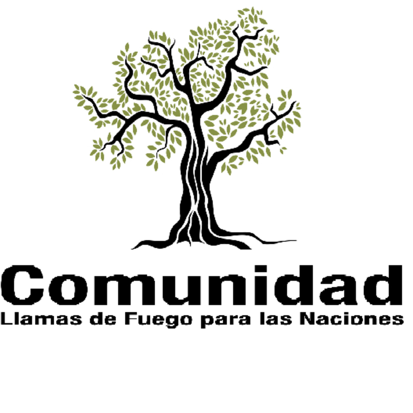 Estudios de la Parashat