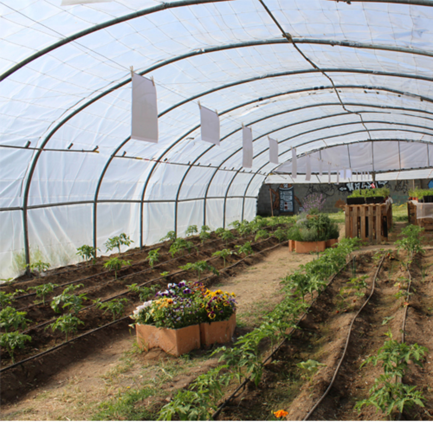 CaritasCiudadRodrigo