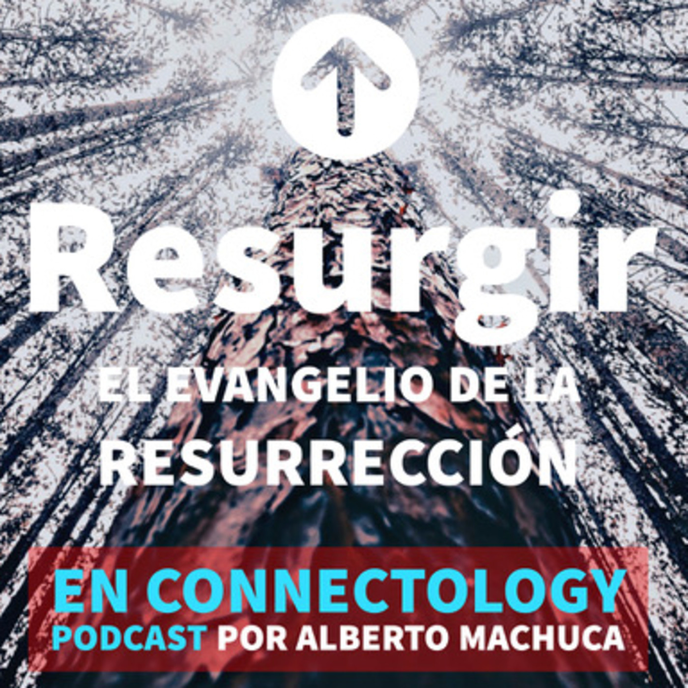 ConnectOlogy