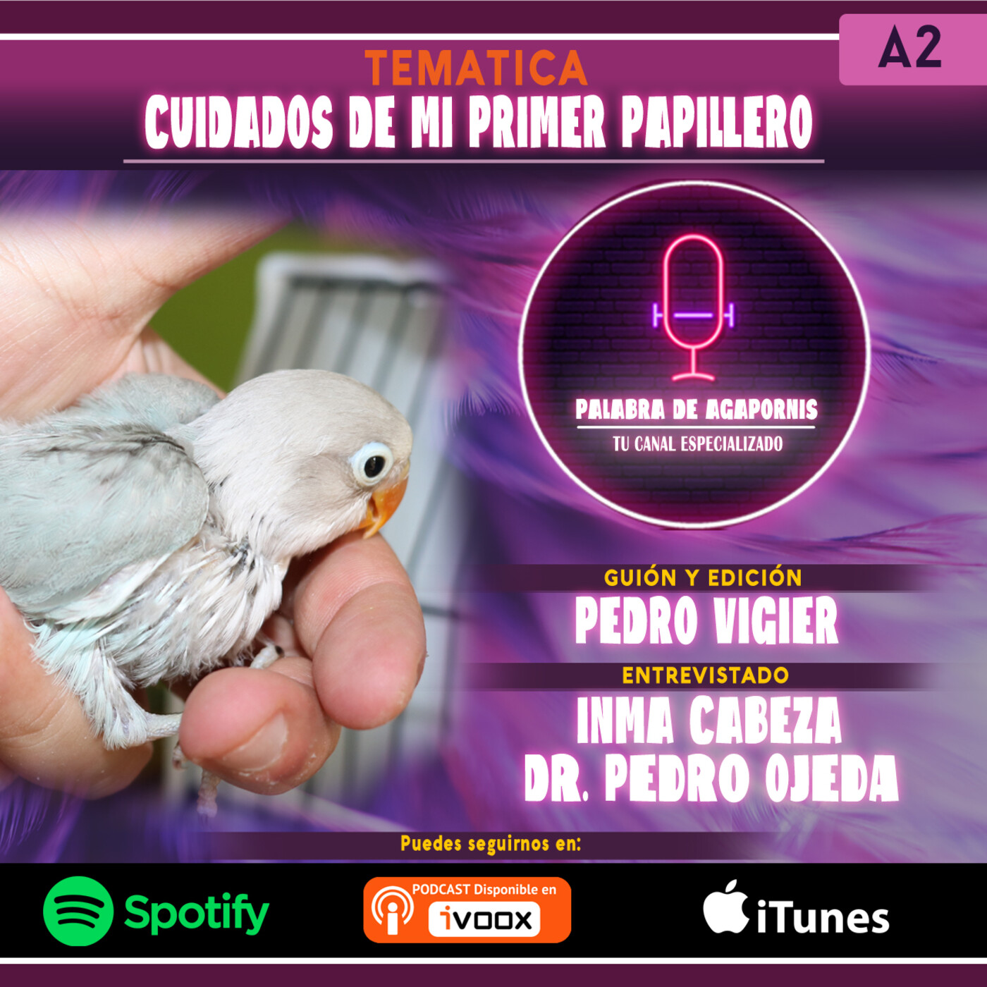 Mi primer Papillero II episode artwork