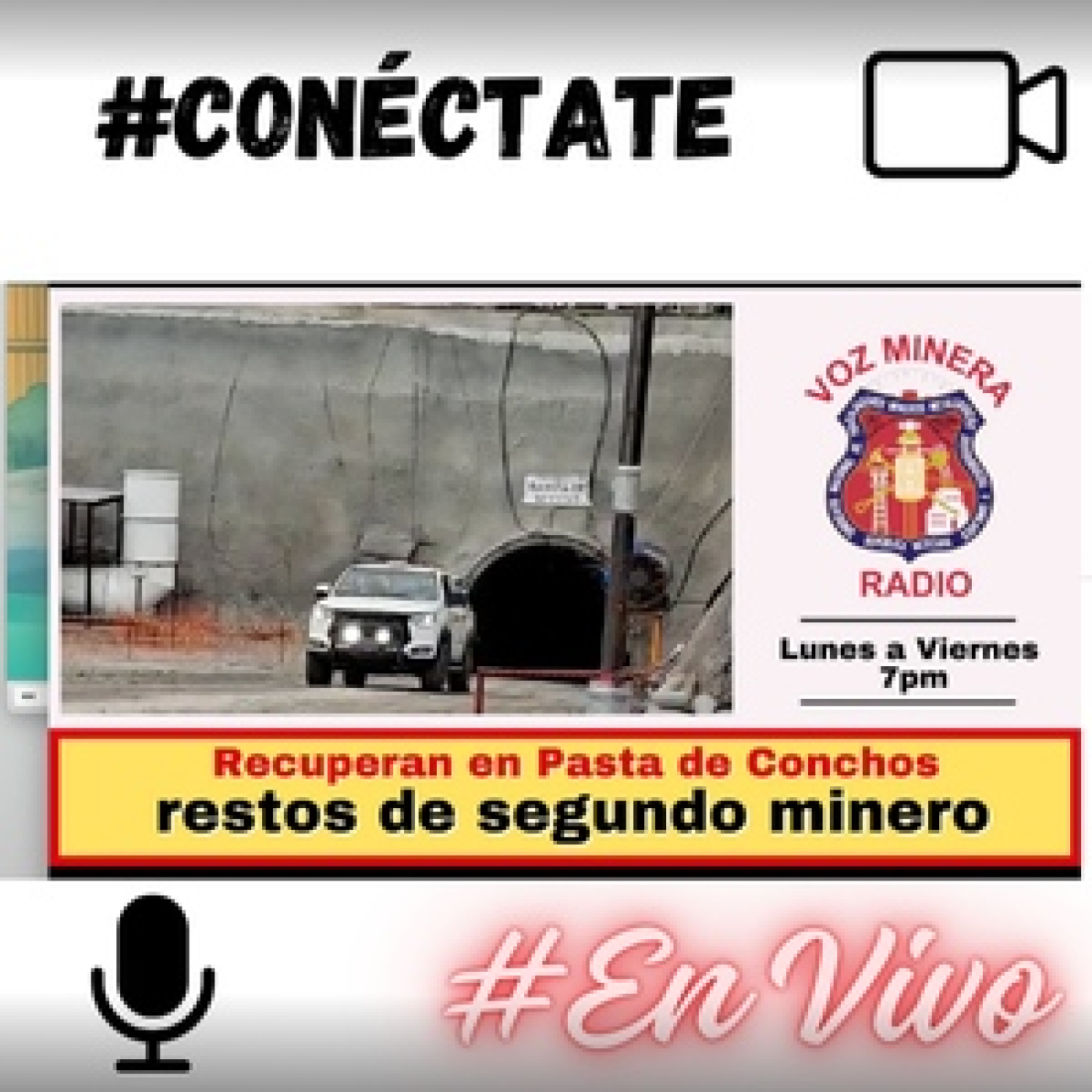 Voz Minera MX