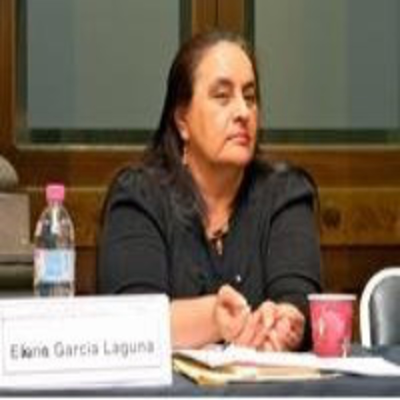 Podcast Los Grandes Problemas Nacionales