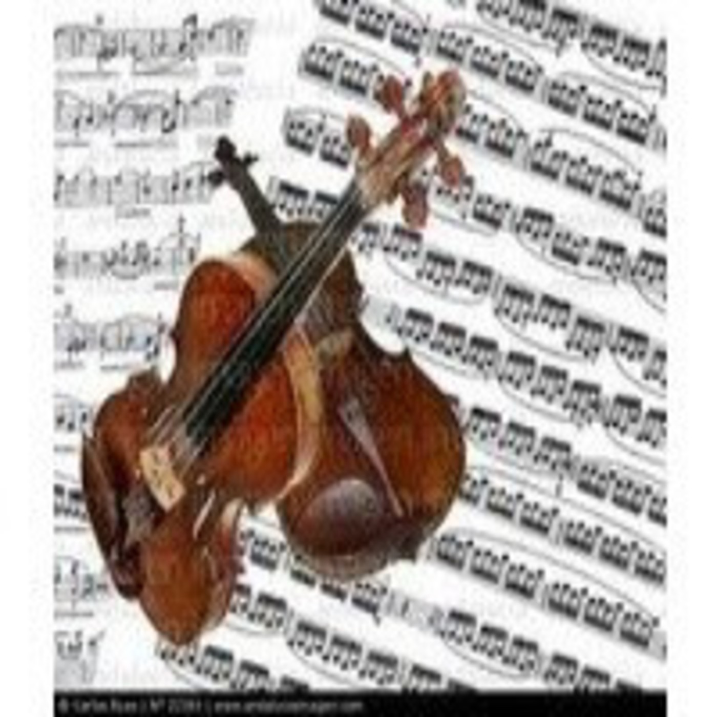 CICLO DE  AUDICIONES MUSICALES