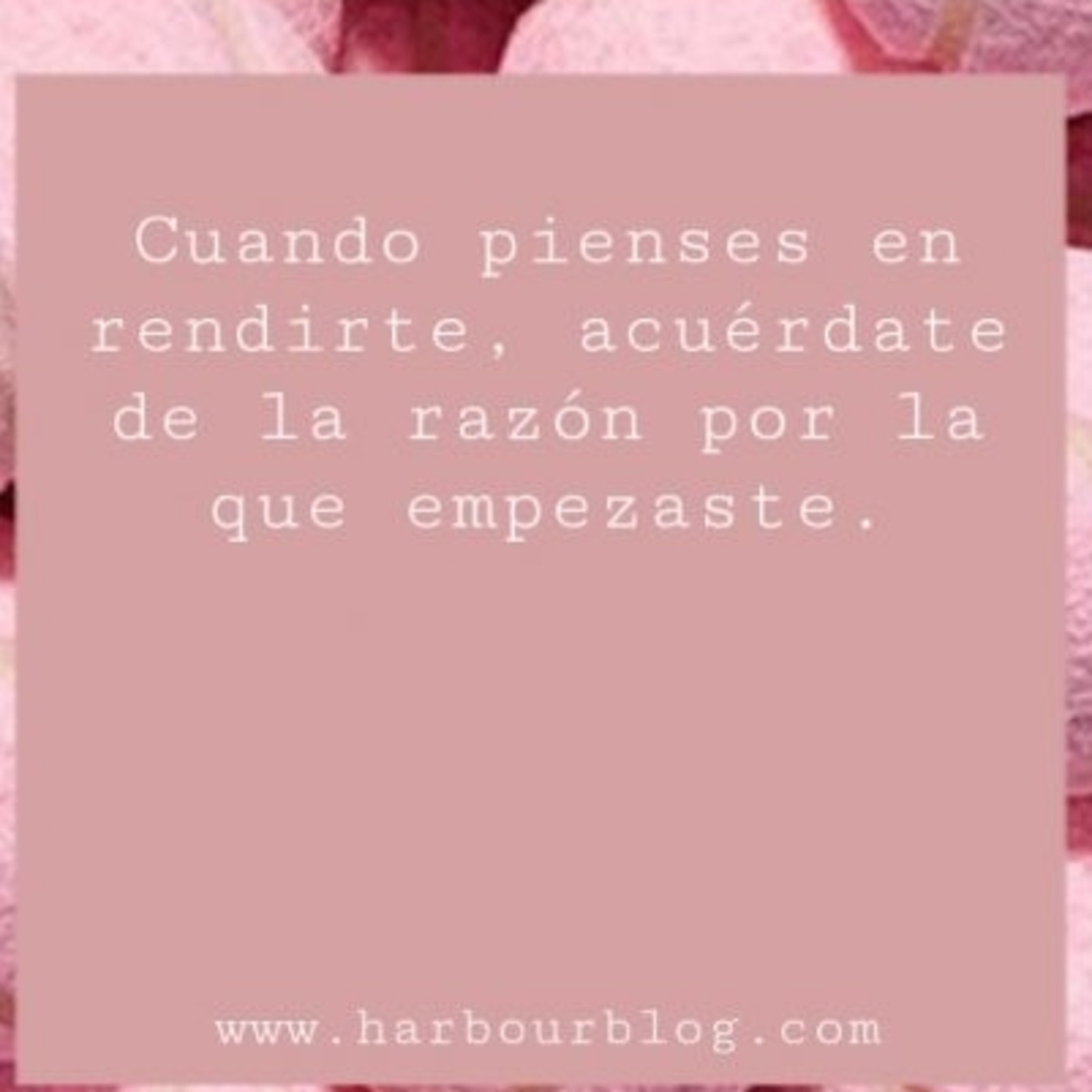 LAS COSAS QUE  NUNCA TE DIJE