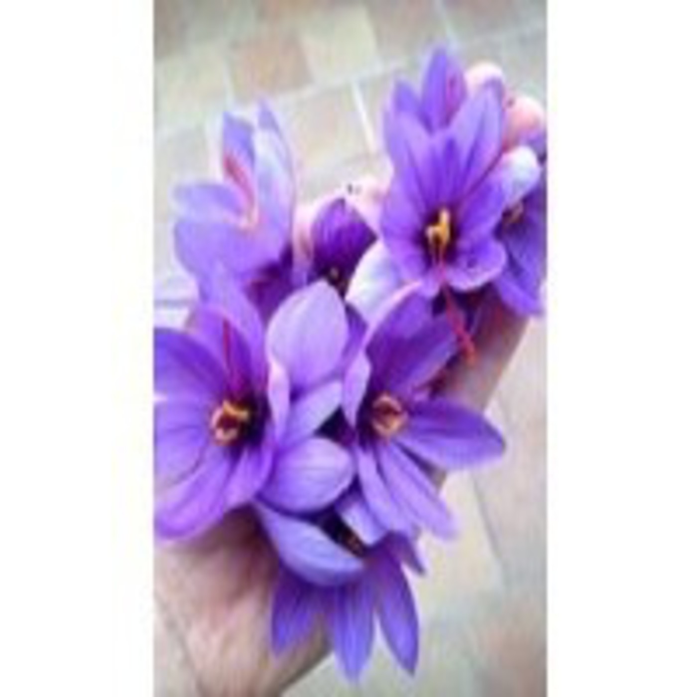 La caridad empieza por uno mismo - 29/03/14