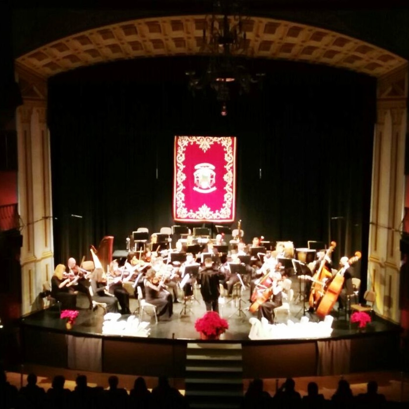 Conciertos en el Teatro-Circo