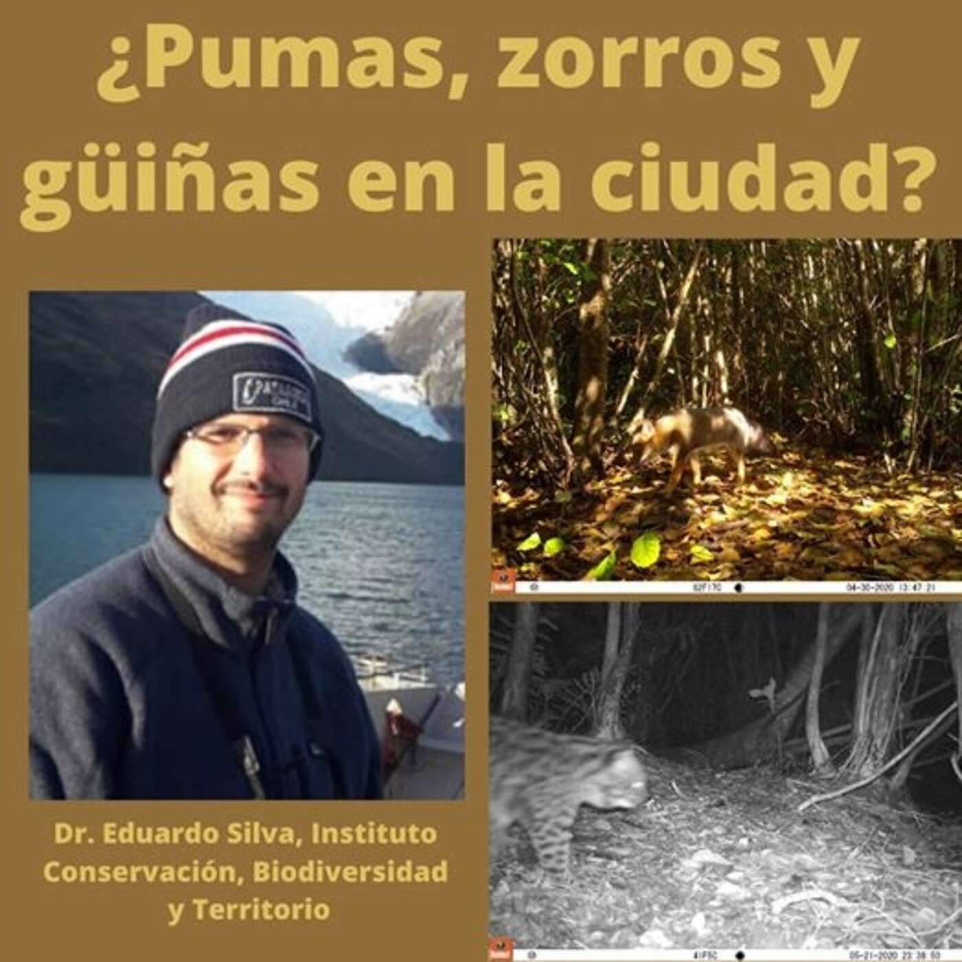 Últimos programas