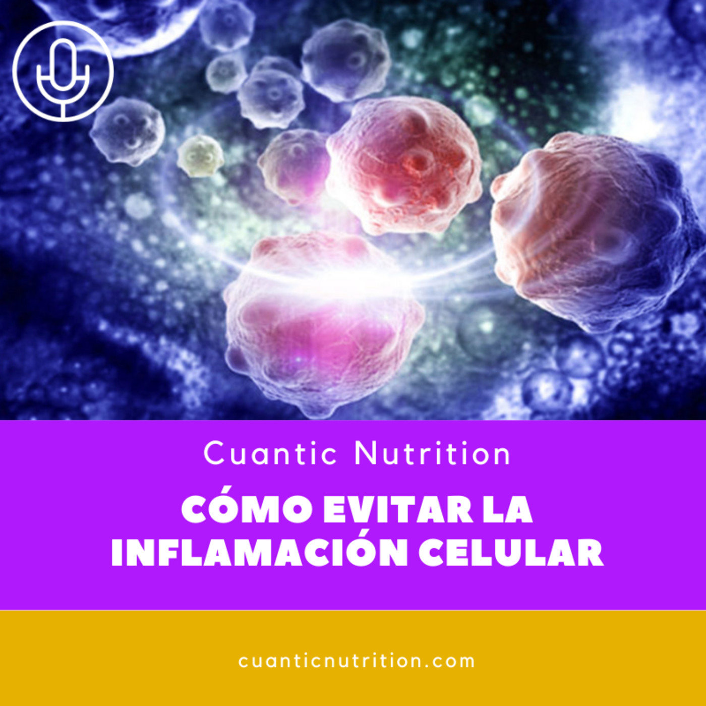 Podcast de Cuantic Nutrition