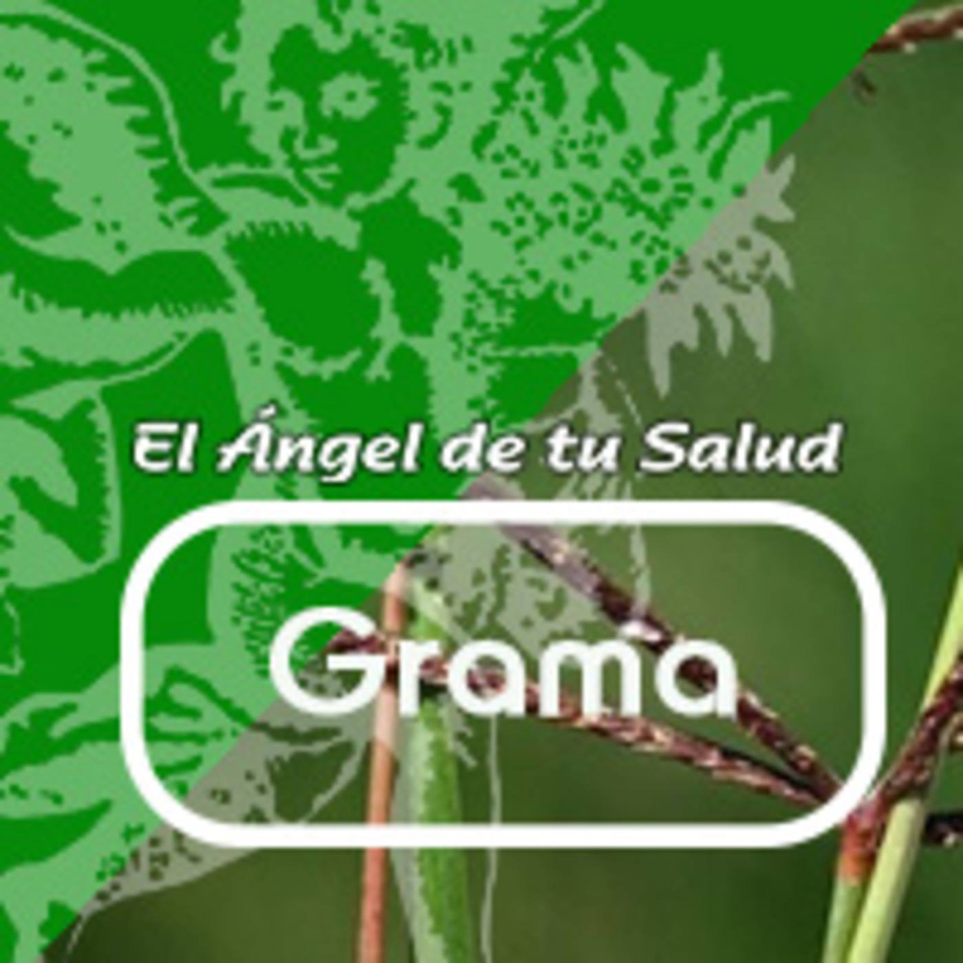El Angel de tu Salud - GRAMA***