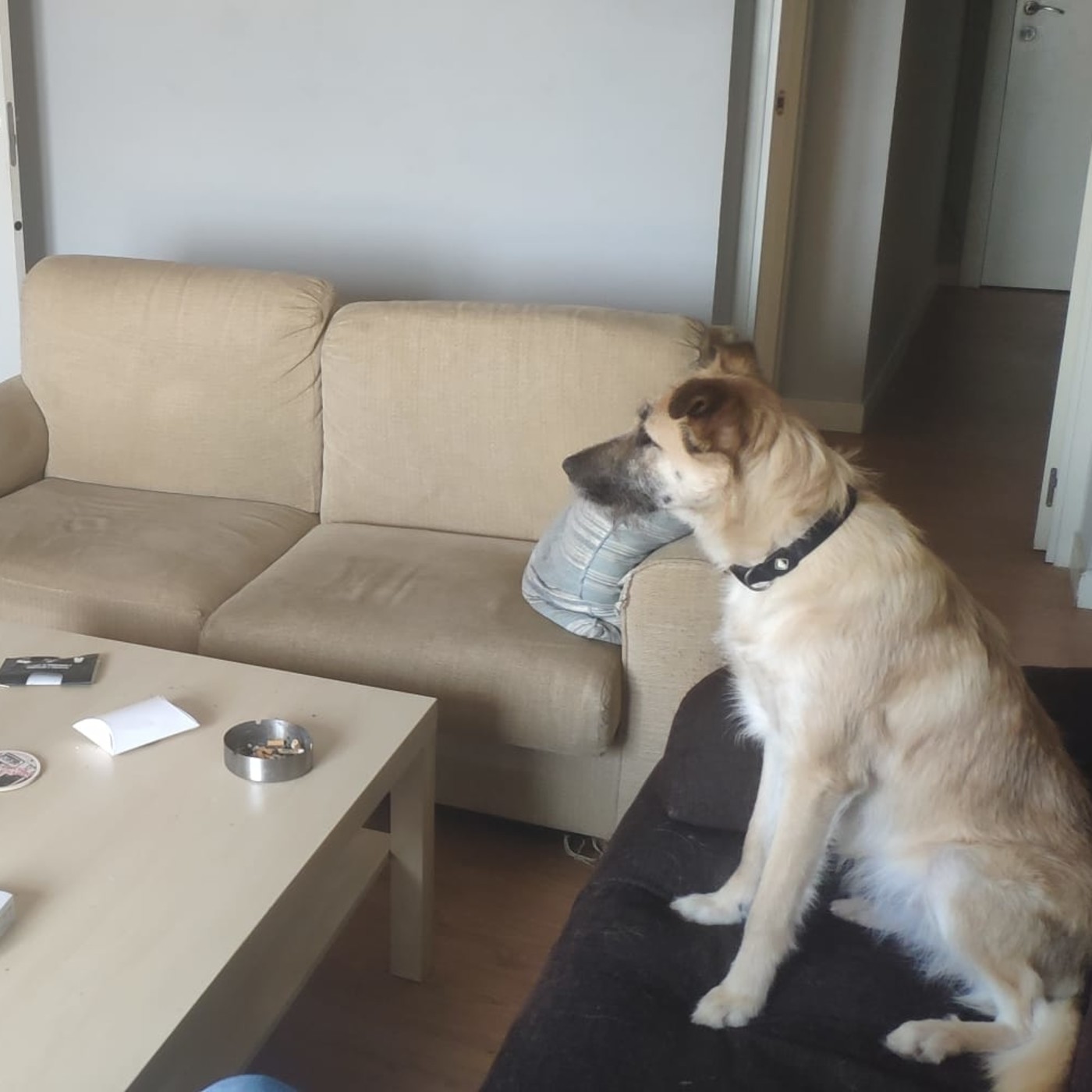 Tenemos que hablar