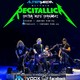Recitallica 7 Concierto Covers