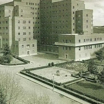 embed image