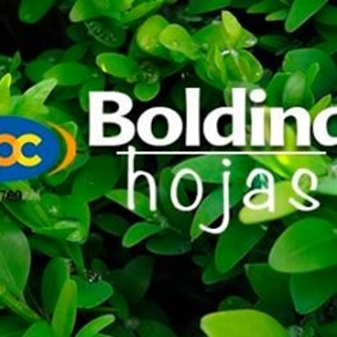 El Ángel de tu Salud - BOLDINA episode artwork