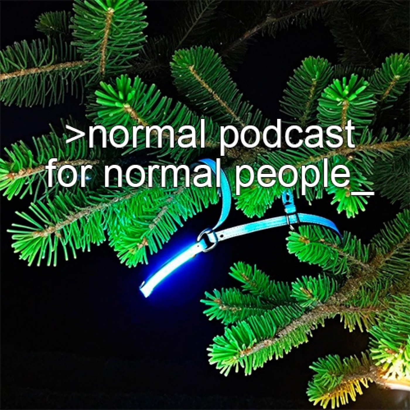 Normal Podcast for Normal People