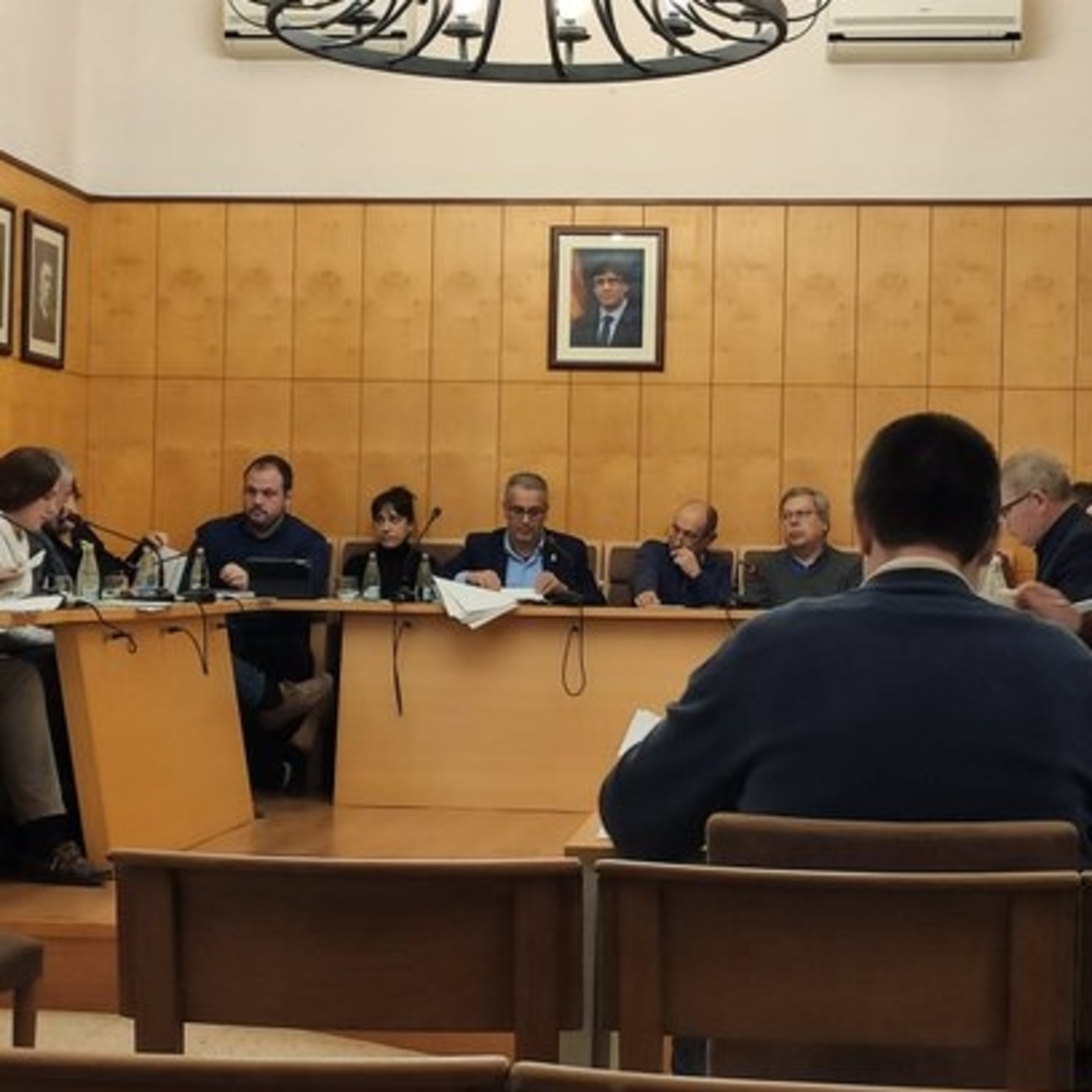 Plens municipals