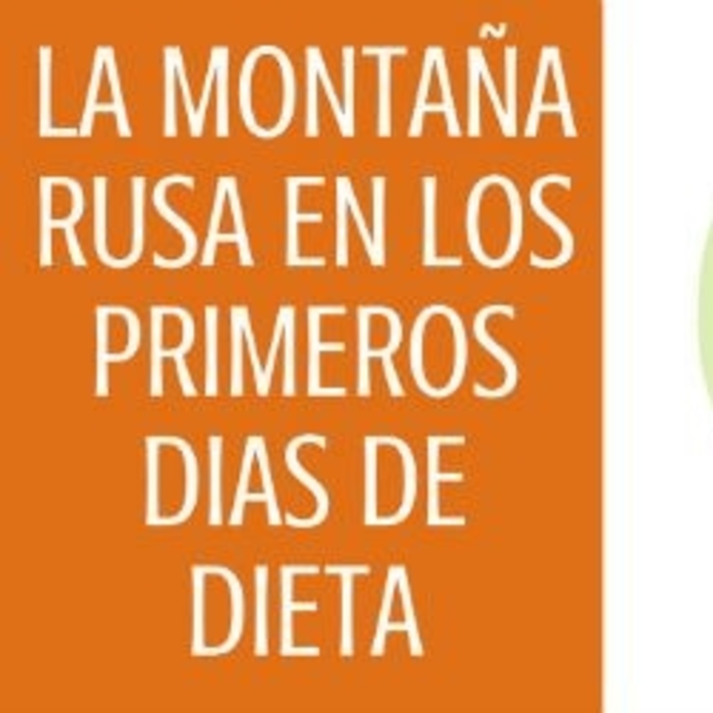 Mis dietas para adelgazar