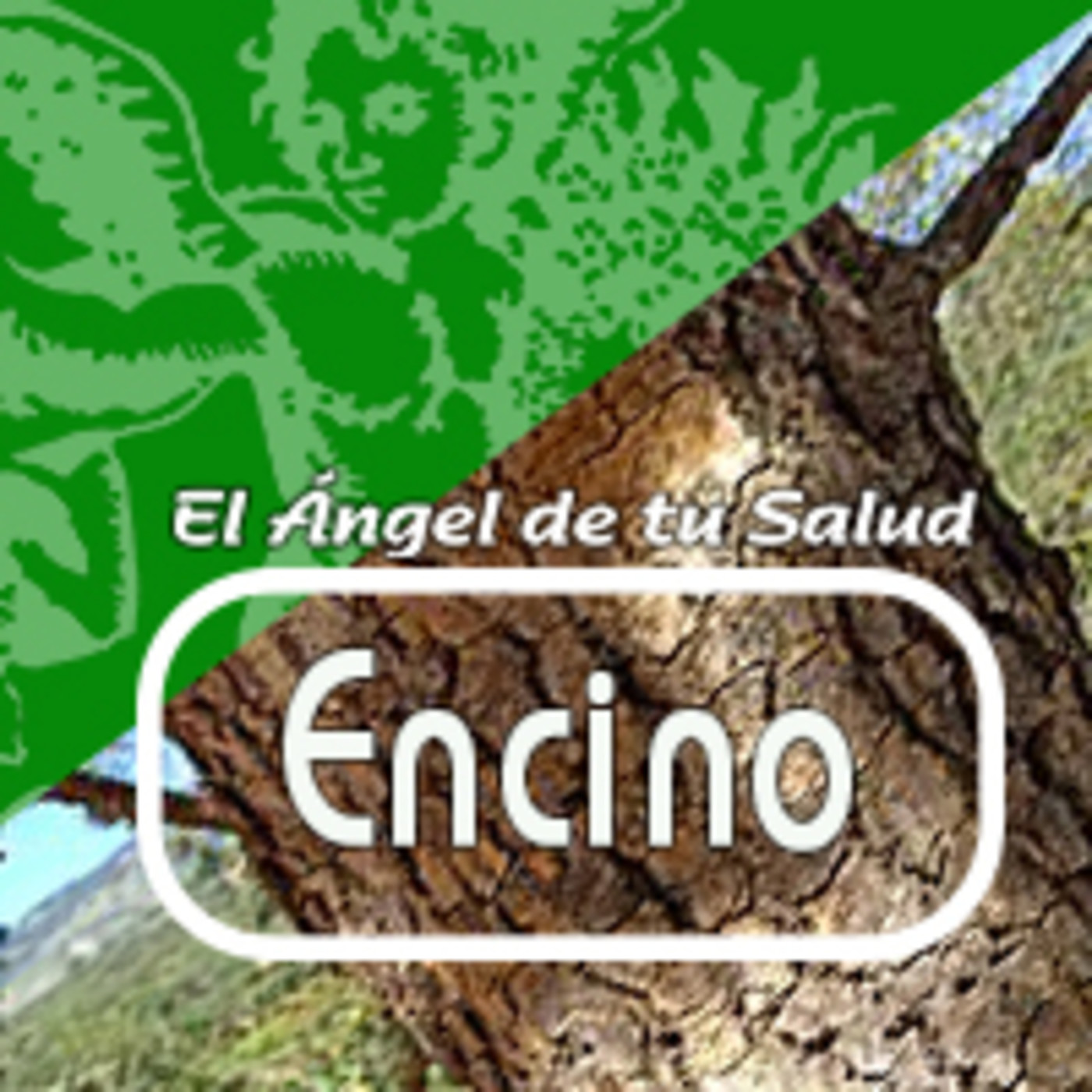 El Angel de tu Salud - ENCINO* episode artwork