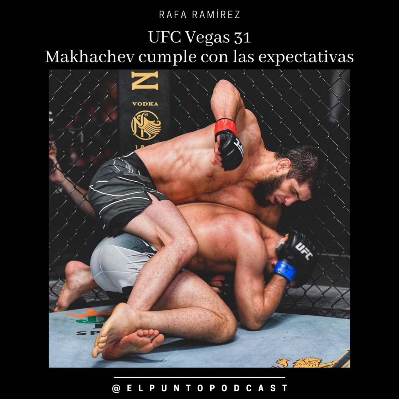 MMA en acción