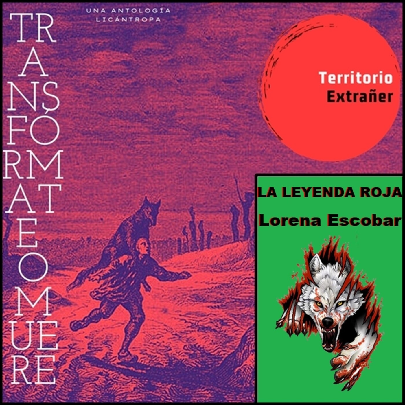 Territorio Extrañer