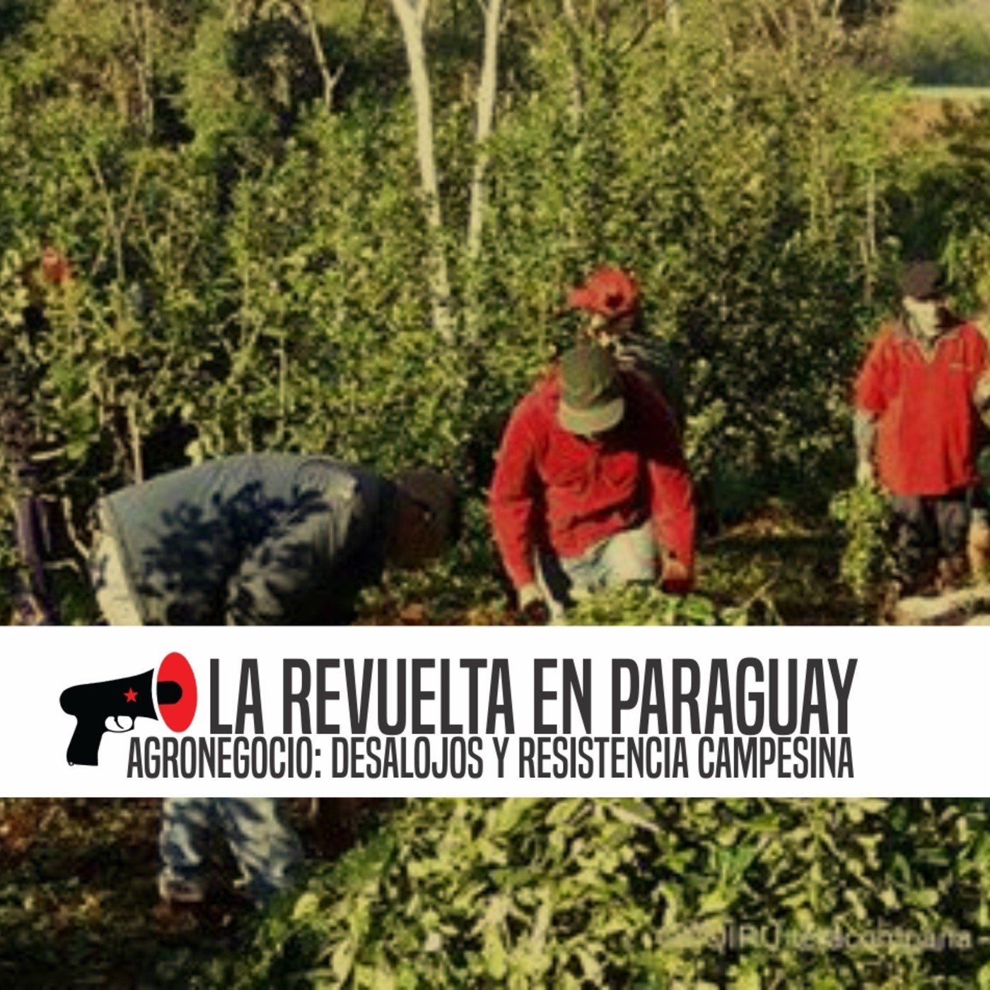 La Revuelta en Paraguay//Agronegocio: desalojos y resistencia campesina