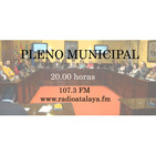 Sesión Plenaria - Mes de Julio de 2019 - Ayuntamiento de Cabra