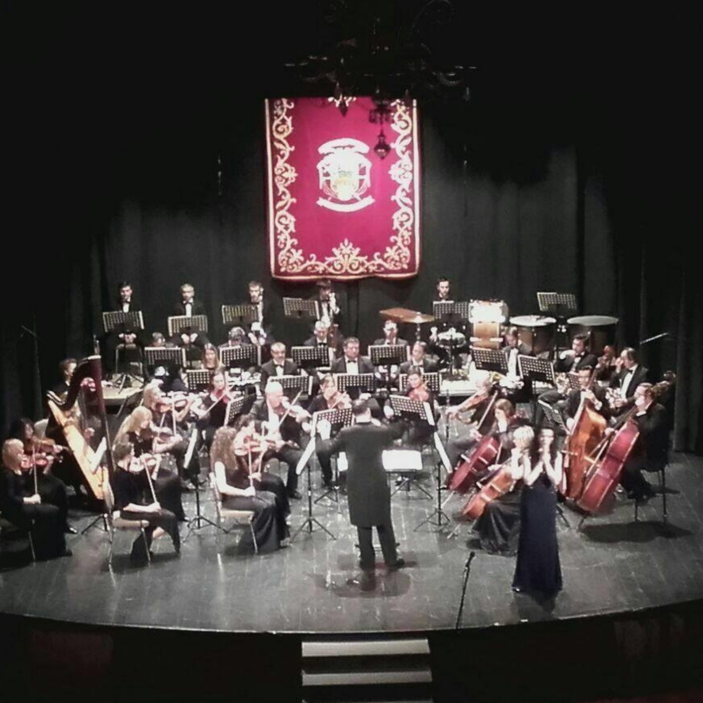 Conciertos en el Teatro-Circo