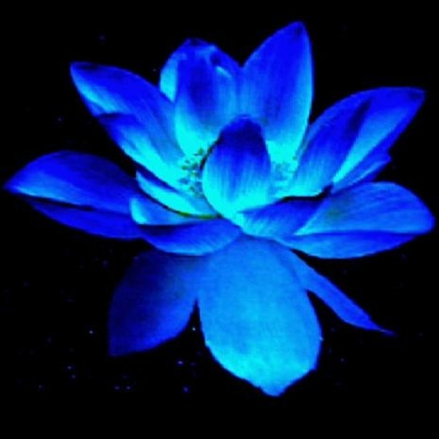Podcast Reflexiones de Luz y Amor